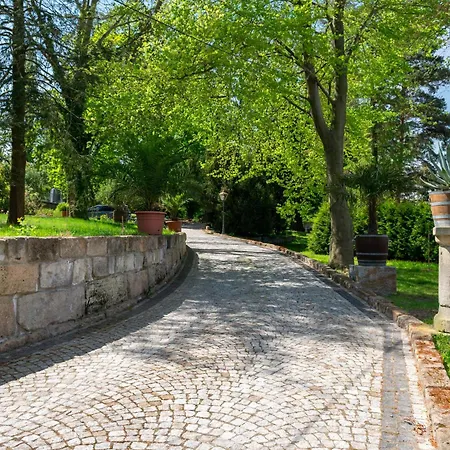 Apartment 90qm Luxus Im Schloss Cotta *